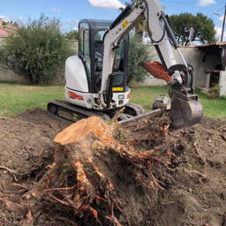 Dessouchage d'arbre