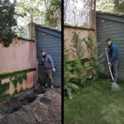 Plantation avant après